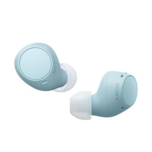 Sony Wf-C510 Truly Wireless Bluetooth Earbuds with Mic, TWS, in Ear, Up to 22 Hours Battery, Ambient Sound Mode, Small and Comfortable, Ipx4- Blue